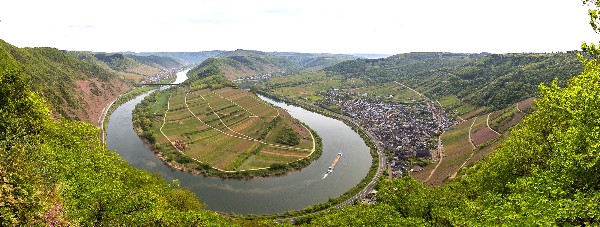 Weinberg an der Mosel, Flusslauf und malerischer Landschaft bei Sonnenlicht – Symbol für hochwertigen deutschen Weißwein und Weinbau.